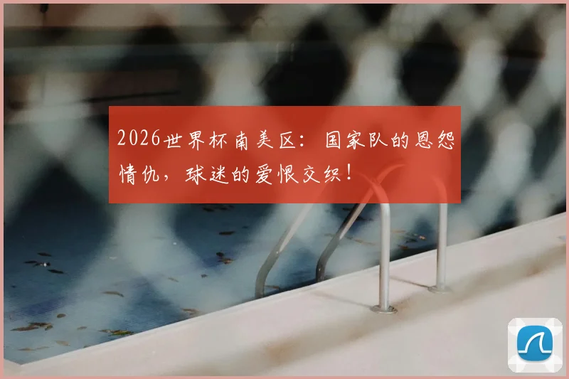 2026世界杯南美区：国家队的恩怨情仇，球迷的爱恨交织！
