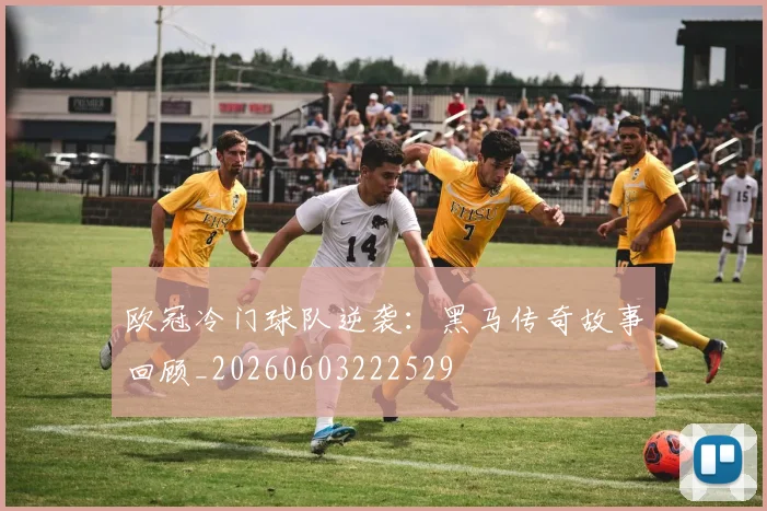 欧冠冷门球队逆袭：黑马传奇故事回顾_20260603222529
