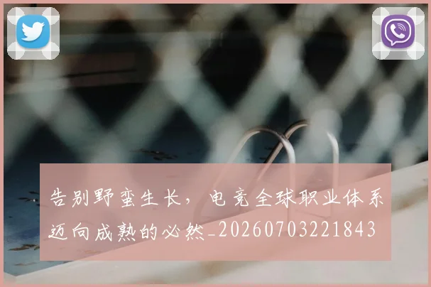 告别野蛮生长，电竞全球职业体系迈向成熟的必然_20260703221843
