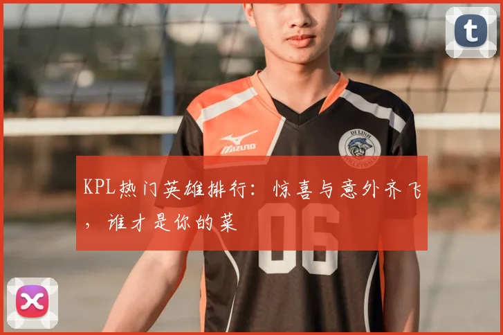 KPL热门英雄排行：惊喜与意外齐飞，谁才是你的菜