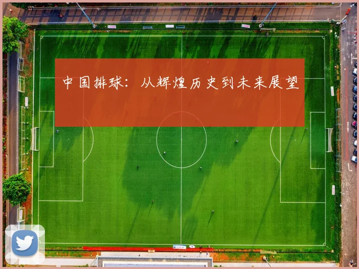 中国排球：从辉煌历史到未来展望